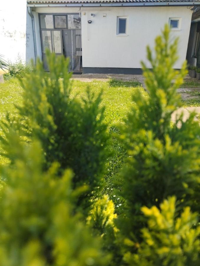 Marija Apartman Osijek Zewnętrze zdjęcie