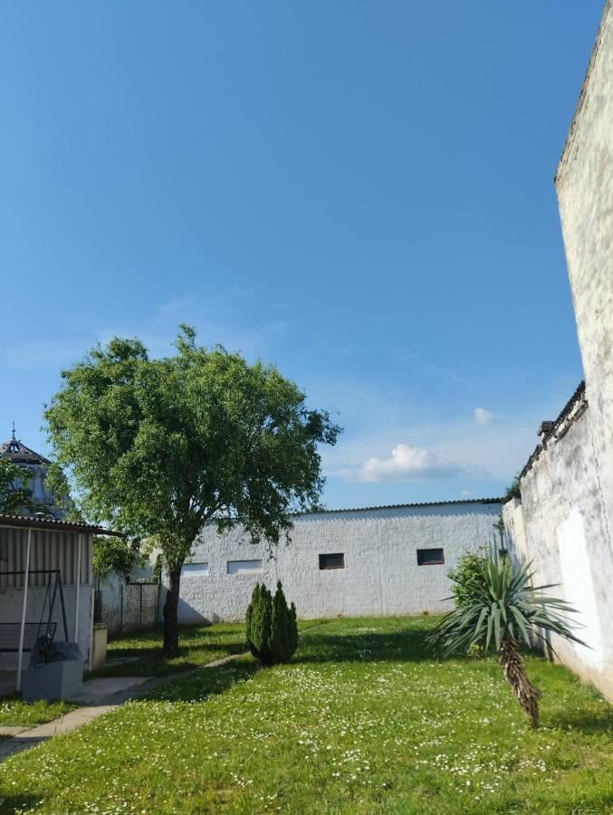 Marija Apartman Osijek Zewnętrze zdjęcie