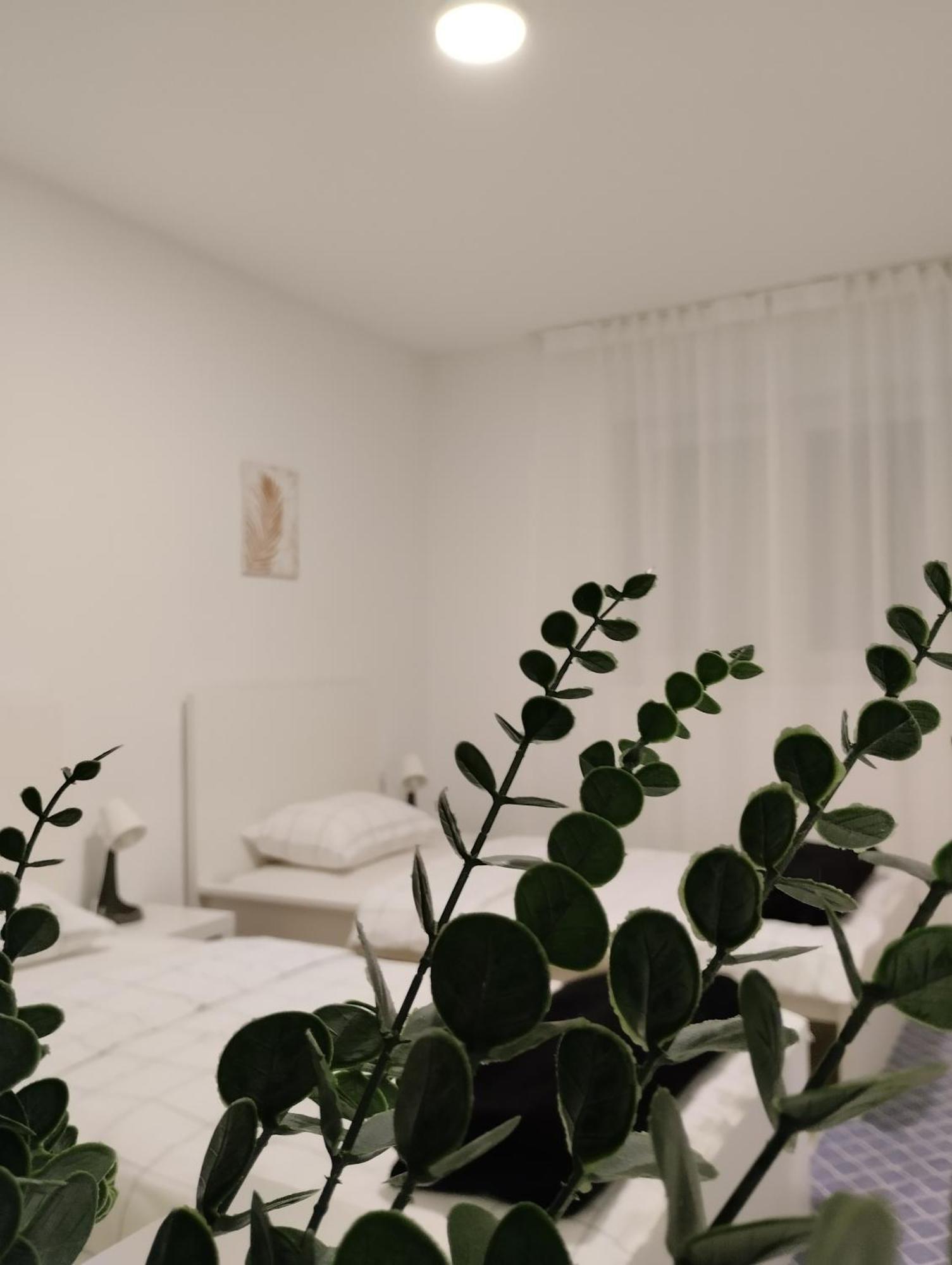 Marija Apartman Osijek Zewnętrze zdjęcie